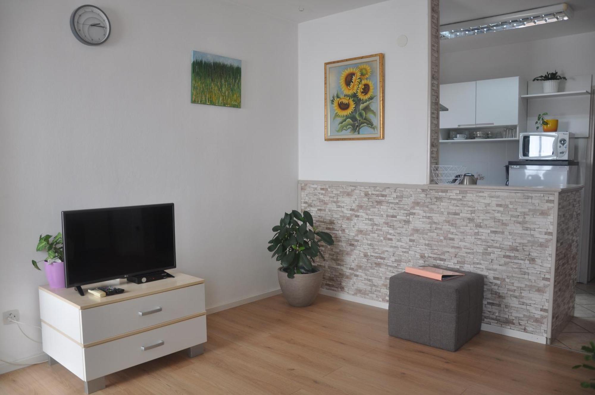 Apartman Mirna ロヴィニ エクステリア 写真